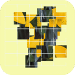 Choose Puzzle